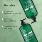 Botanic Hearth Tea Tree Shampoo and Conditioner Set - Nourishing Hair Care with Tea Tree Oil, Peppermint, and Lavender 16Fl oz each - Image 2